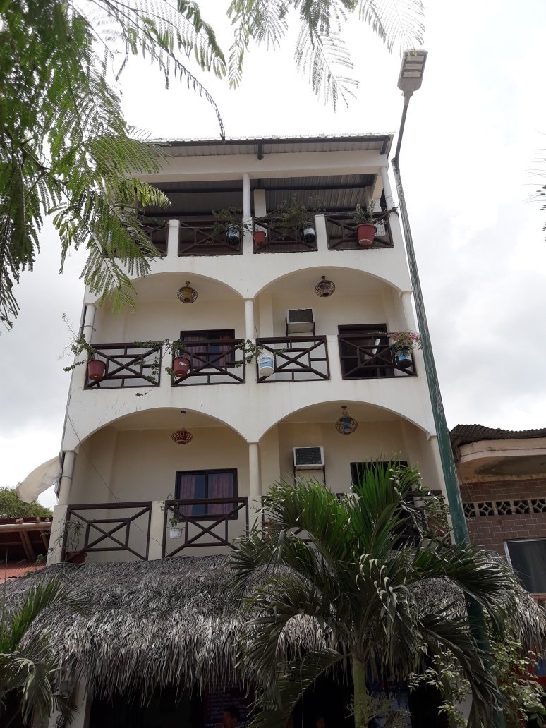 Hostal Humpback Internacional-官方