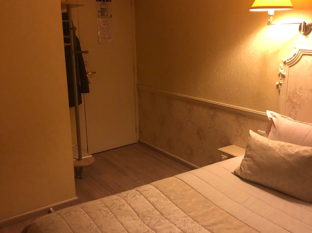 Hotel des Dauphins主图