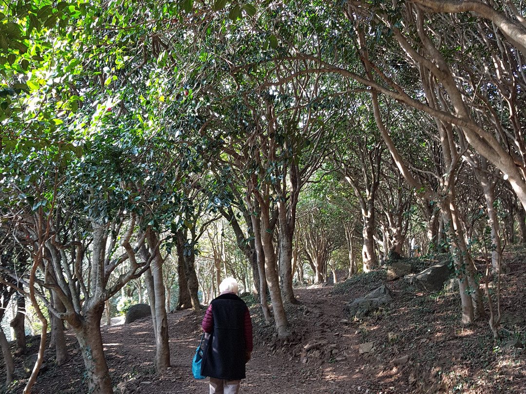 Dasan Chodang (Dasan Jeong Yak-yong historical site)-康津郡必去景点