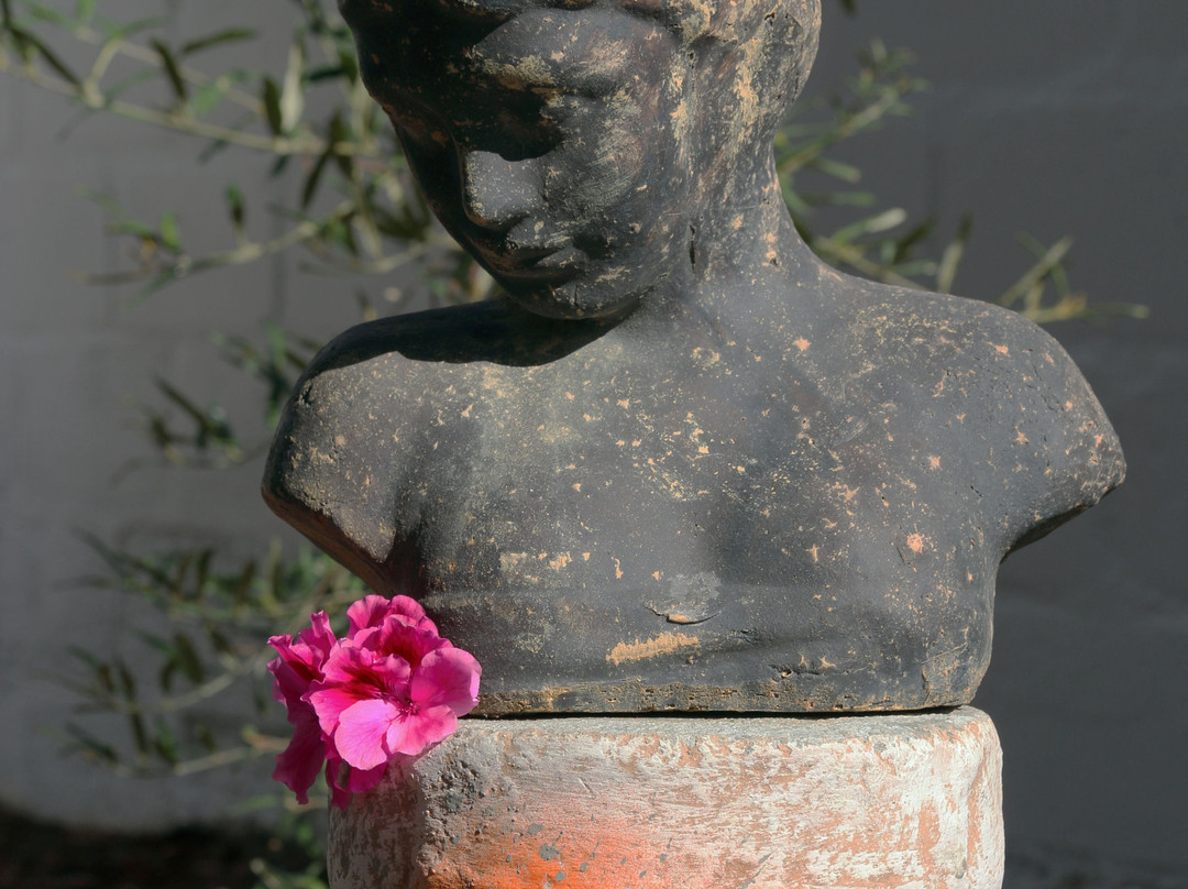 Albatross Guesthouse Langebaan Western Cape主图