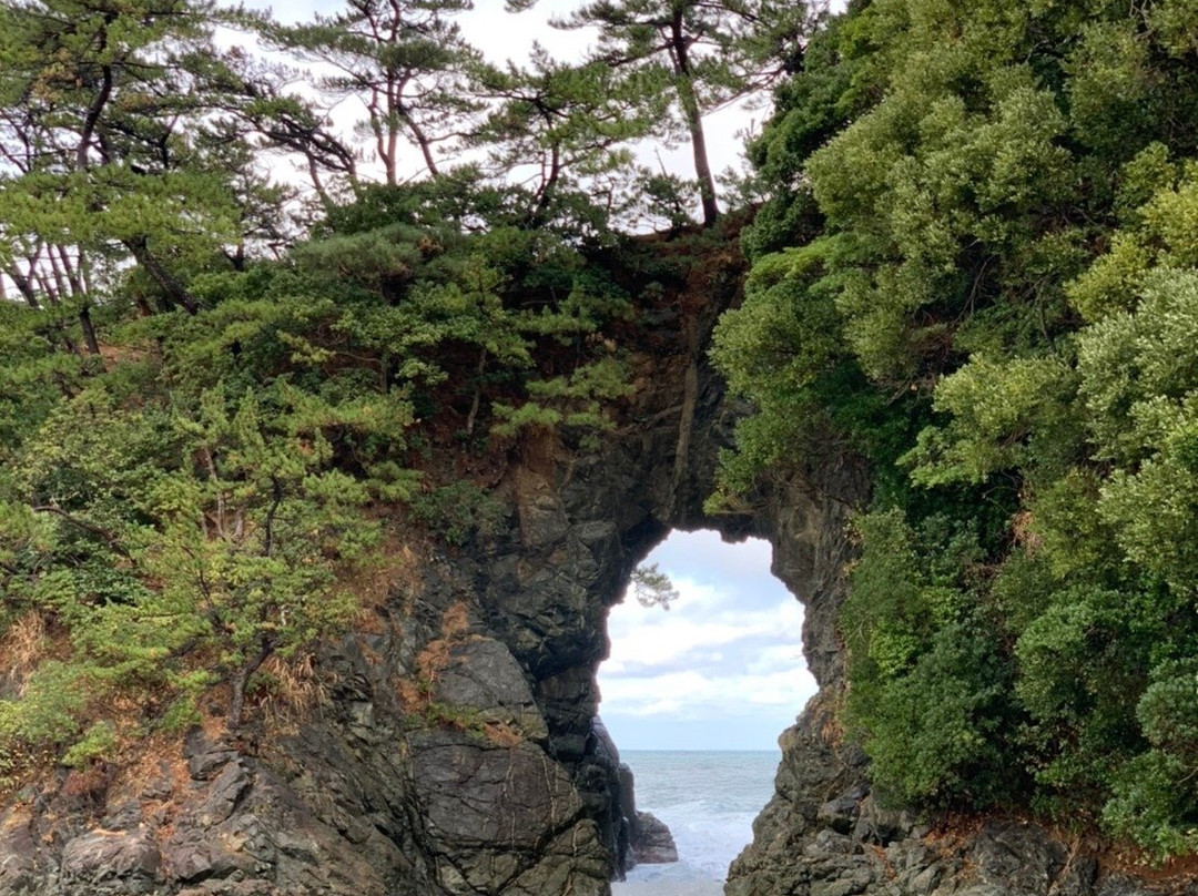 Shiroyama Park景点图片