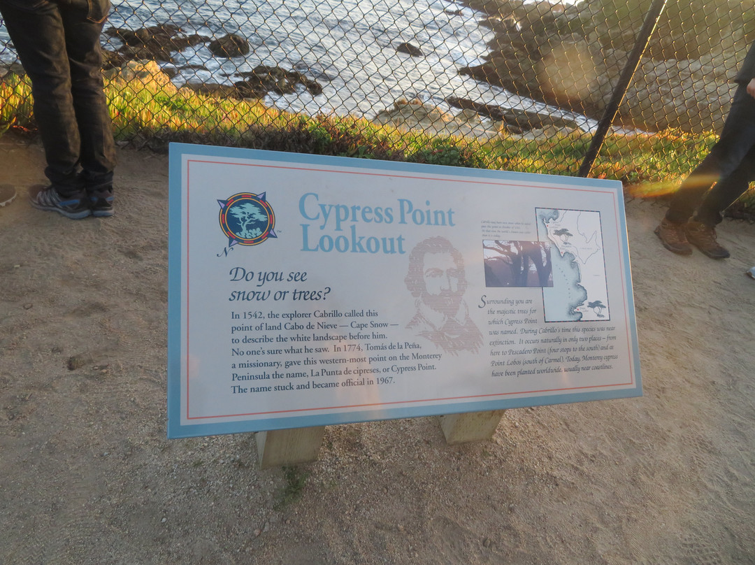 Cypress Point Lookout-圆石滩必去景点