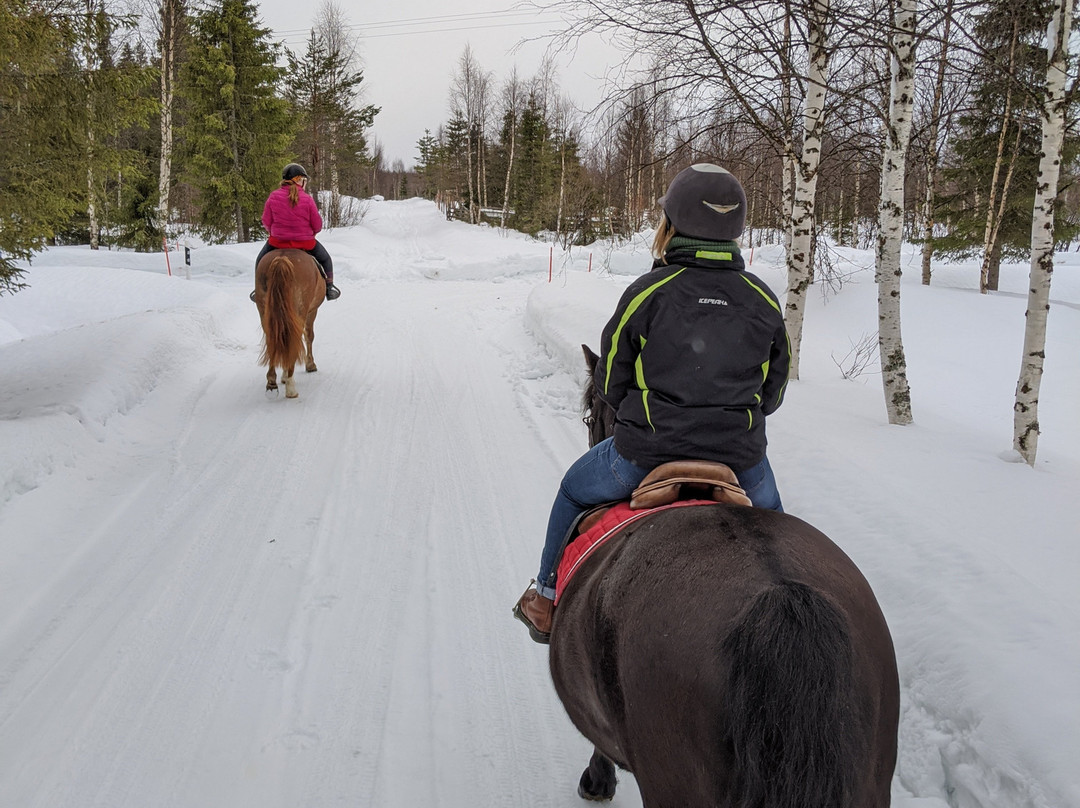 Off-Piste Adventures-Kemijarvi必去景点