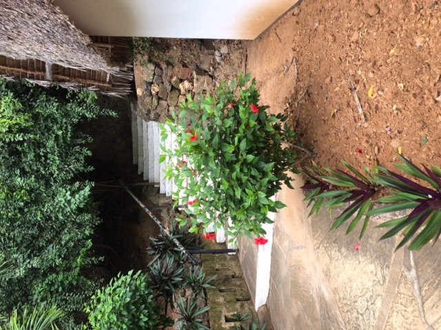 Mnarani Beach Club主图