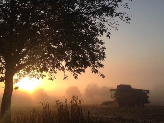 Montagrier旅游攻略图片