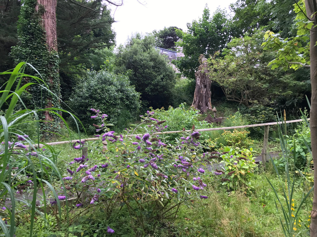 Fairy Glen Local Nature Reserve景点图片