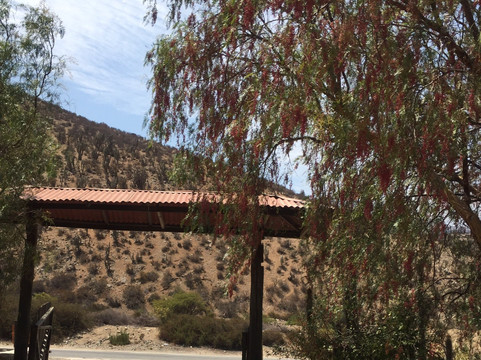 Reserva Nacional Las Chinchillas-Illapel必去景点