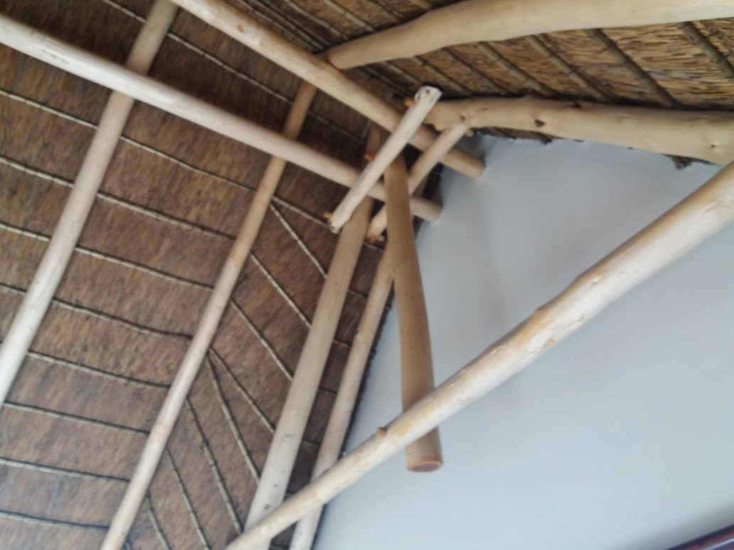 House of Braganza主图