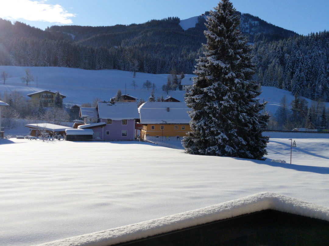 Hotel Kerschbaumer主图