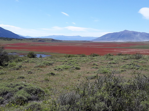 Lago Roca-埃尔卡拉法特必去景点