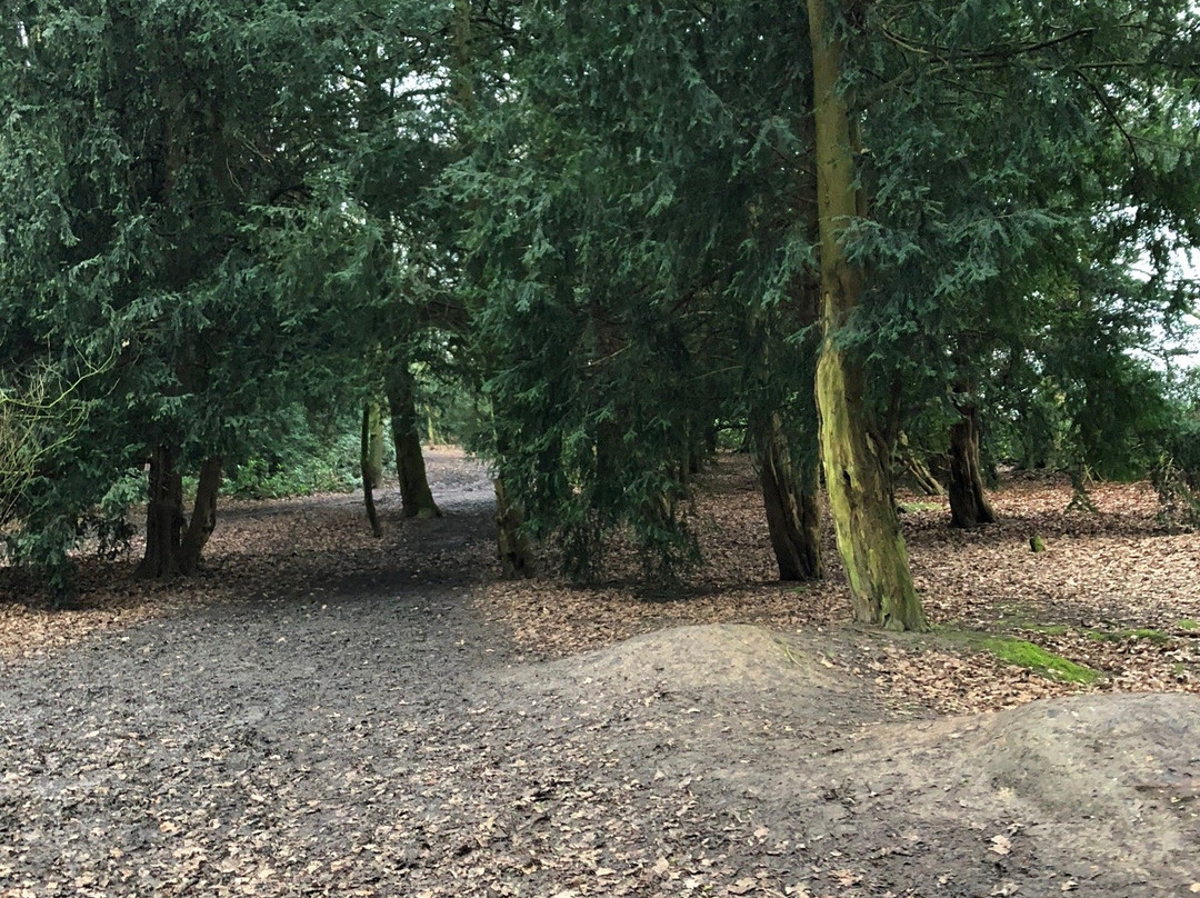 Alfreton Park景点图片