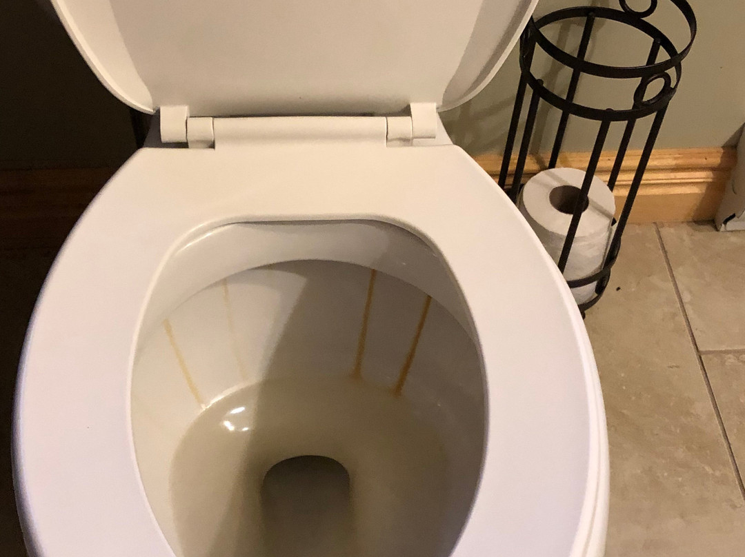 The Wilds at Salmonier River Hotel Rooms & Suites主图