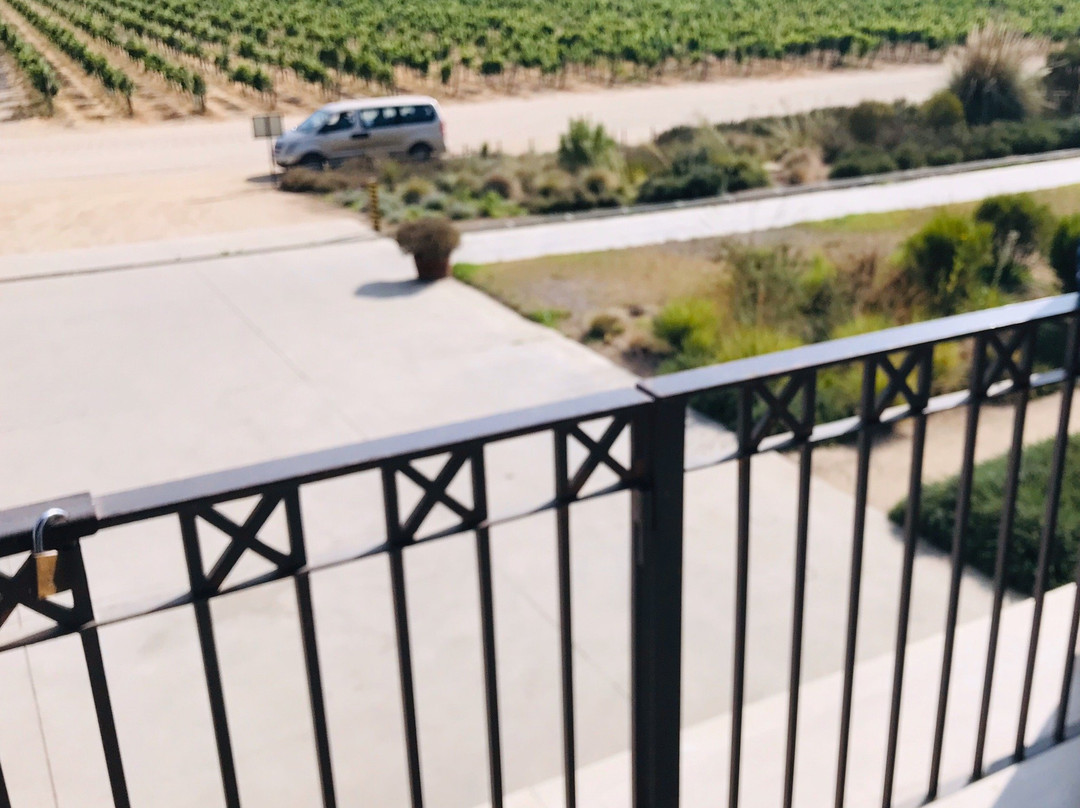 Casablanca Valley-卡萨布兰卡必去景点