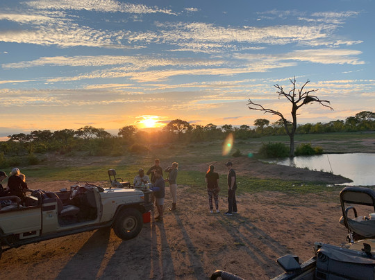 Elephant Plains Game Lodge主图