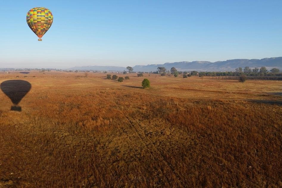 African Eagle景点图片