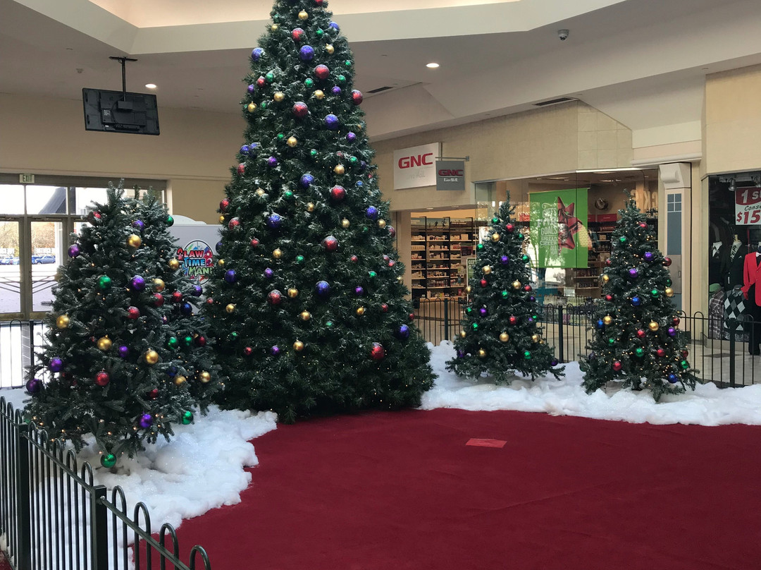 The Centre at Salisbury-索尔兹伯里必去景点