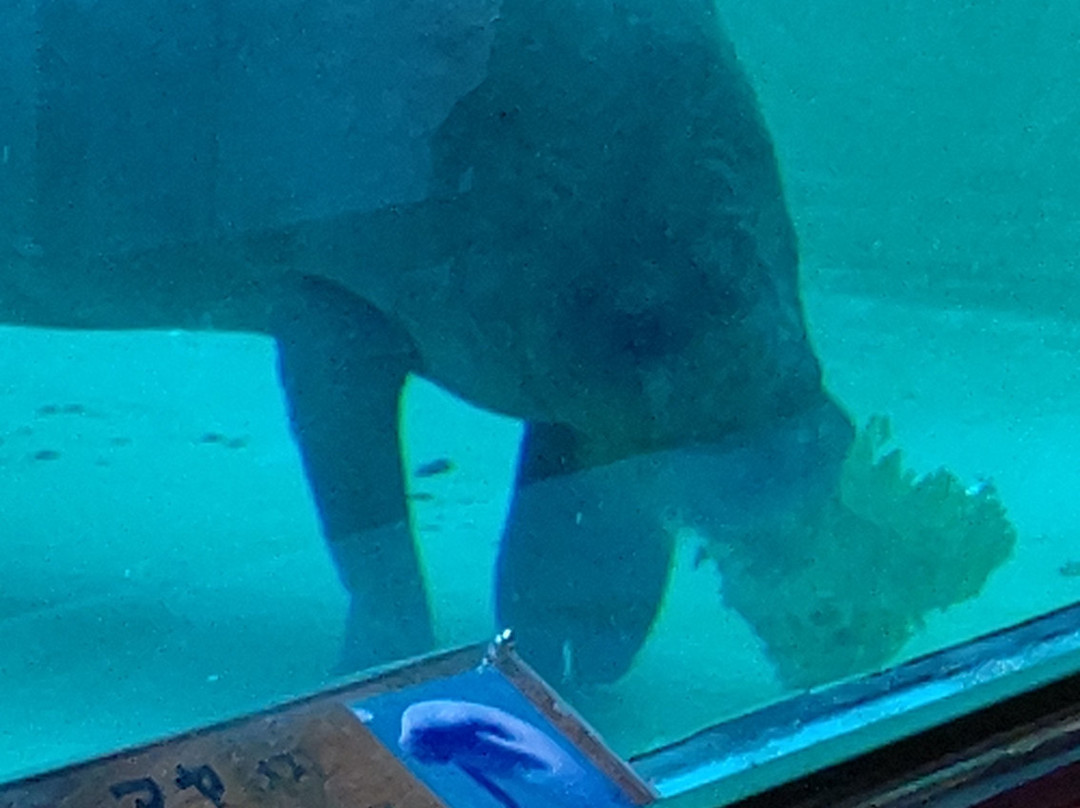 Manatee Center景点图片
