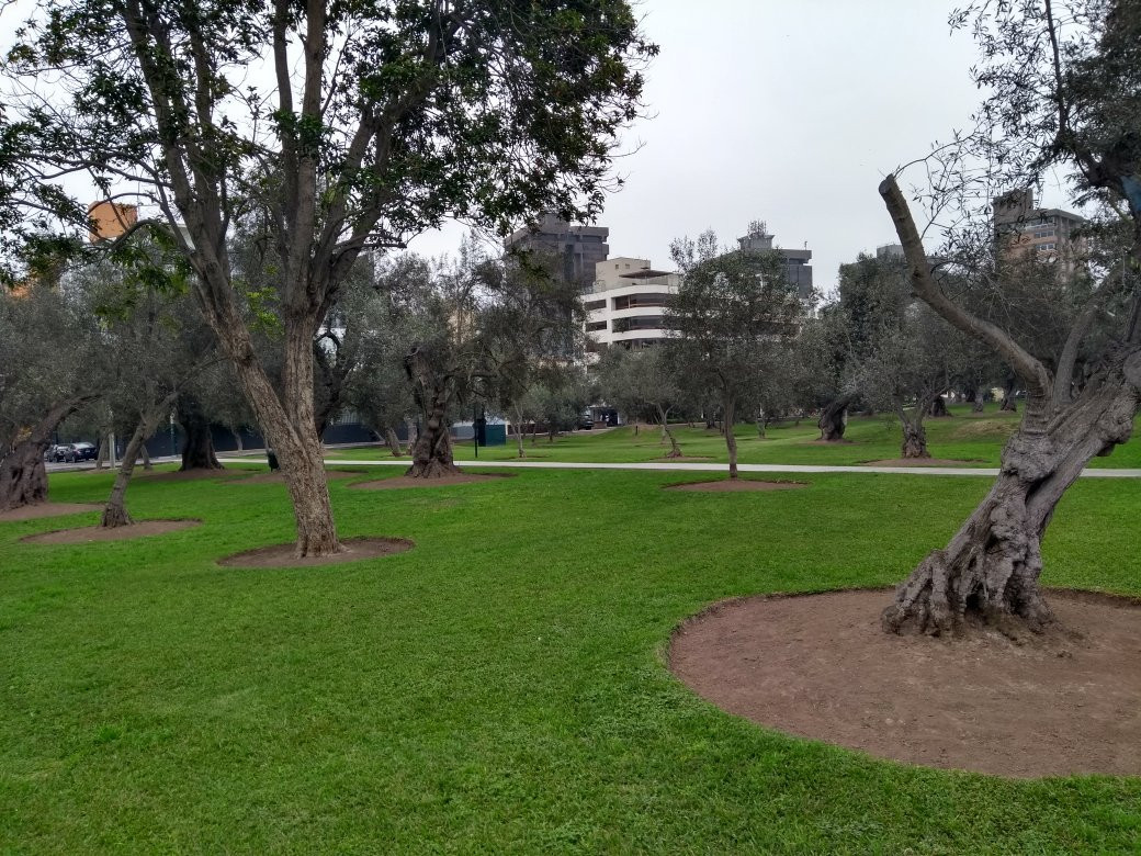 San Isidro-利马必去景点