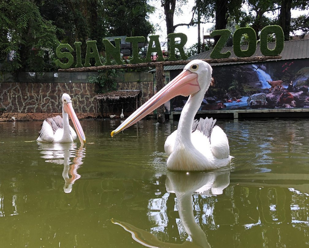 Pematang Siantar Zoo-Pematangsiantar必去景点