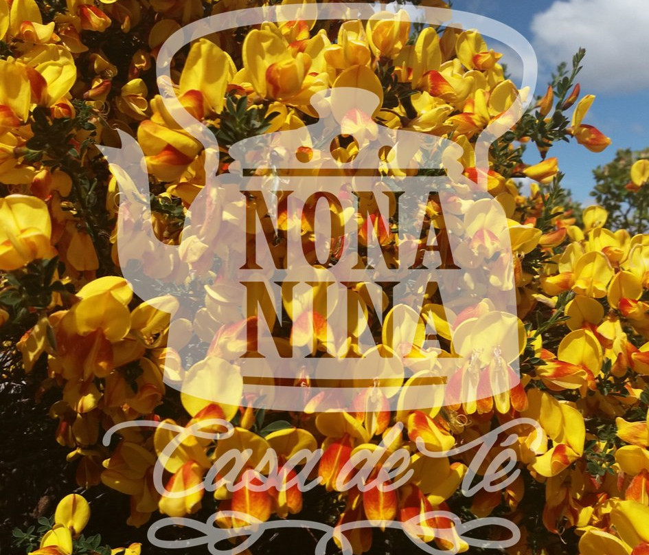 Nona Nina - Casa De Té