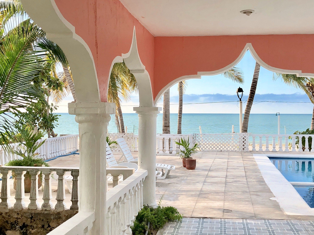 Ecohotel Flamingo Playa主图