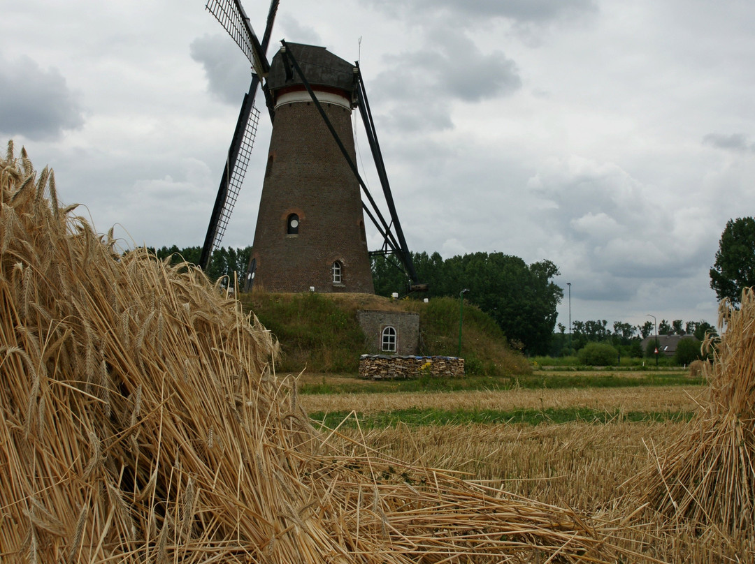 Windkorenmolen De Roosdonck景点图片