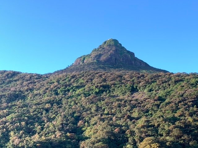 Adams Peak Inn主图