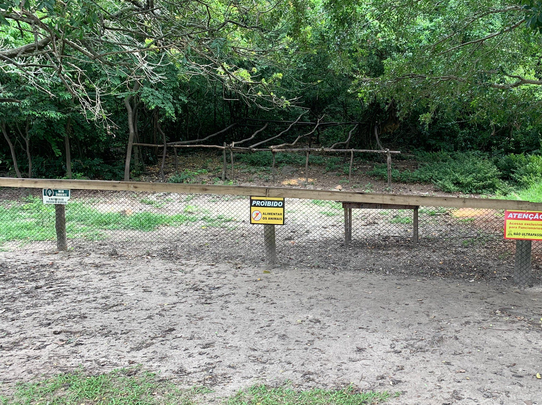 Morro dos Macacos-Passo de Torres必去景点
