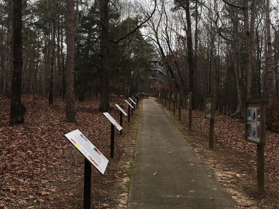 Rock Hawk Effigy and Trails-Eatonton必去景点