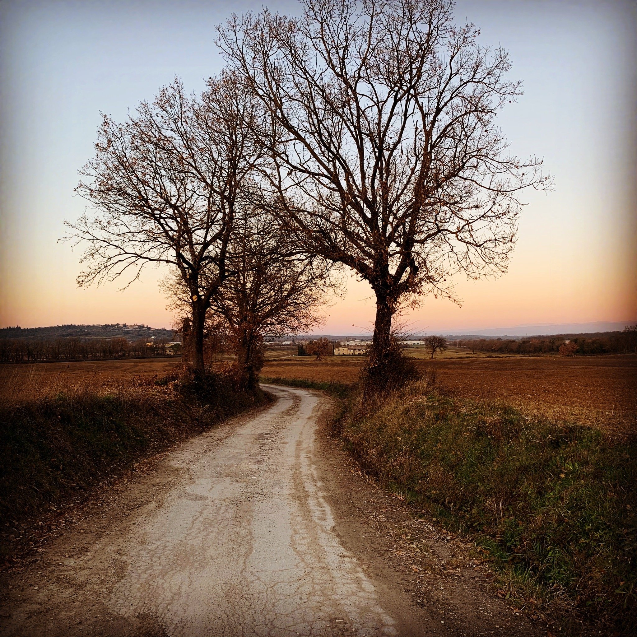 Borgo al Cerro-官方