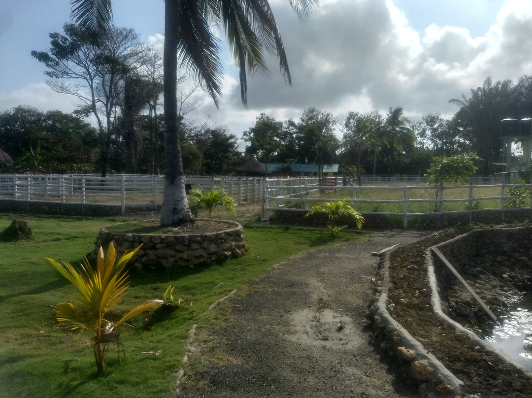 Hotel Agroturistico Palma Vino主图