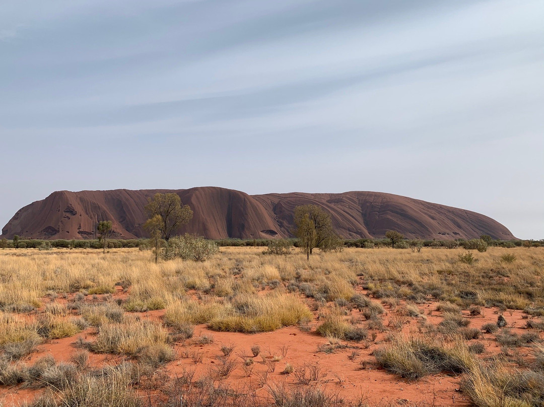 Outback Tour Services-爱丽斯泉必去景点
