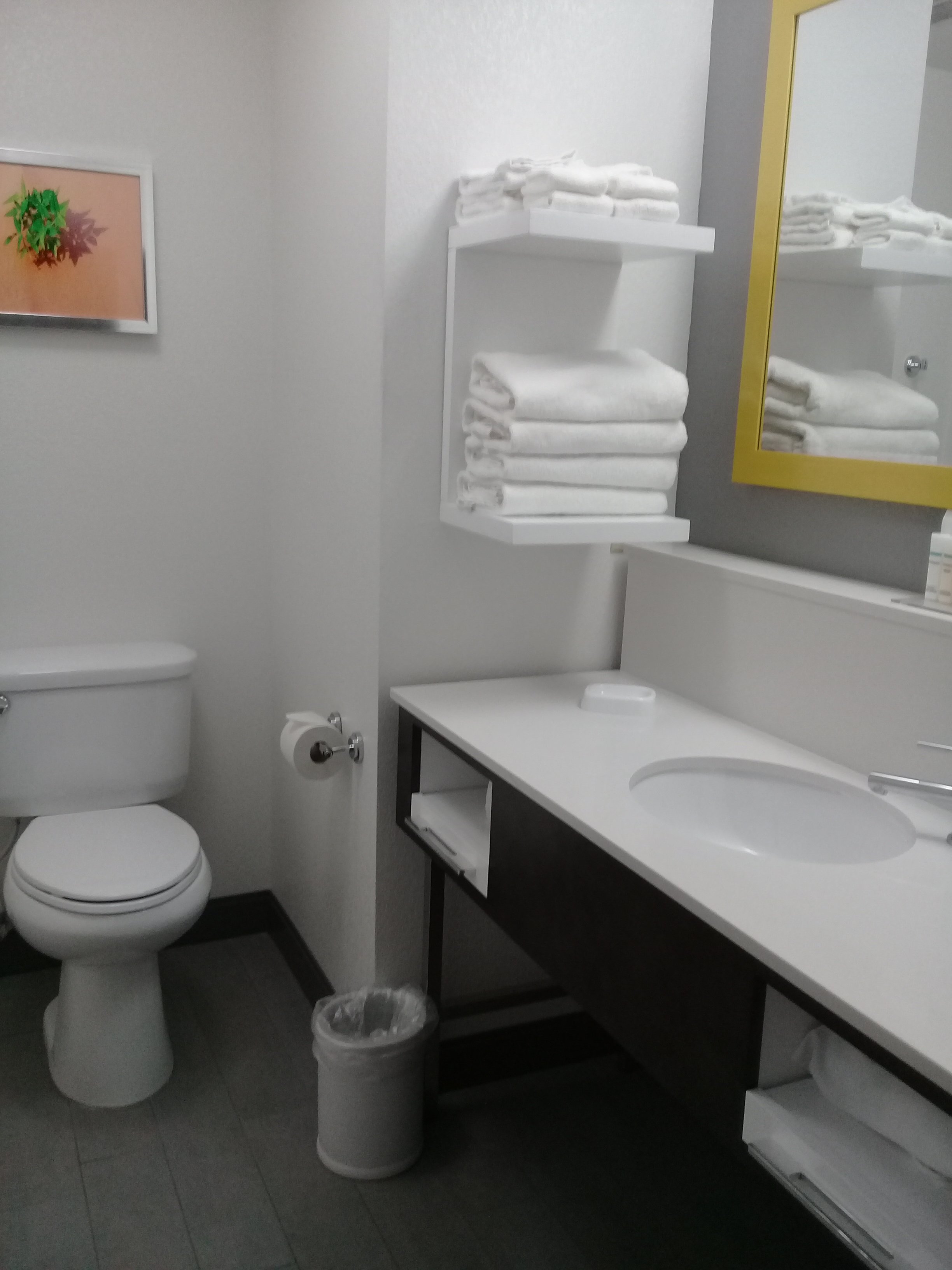 Hampton Inn Alamogordo-浴室