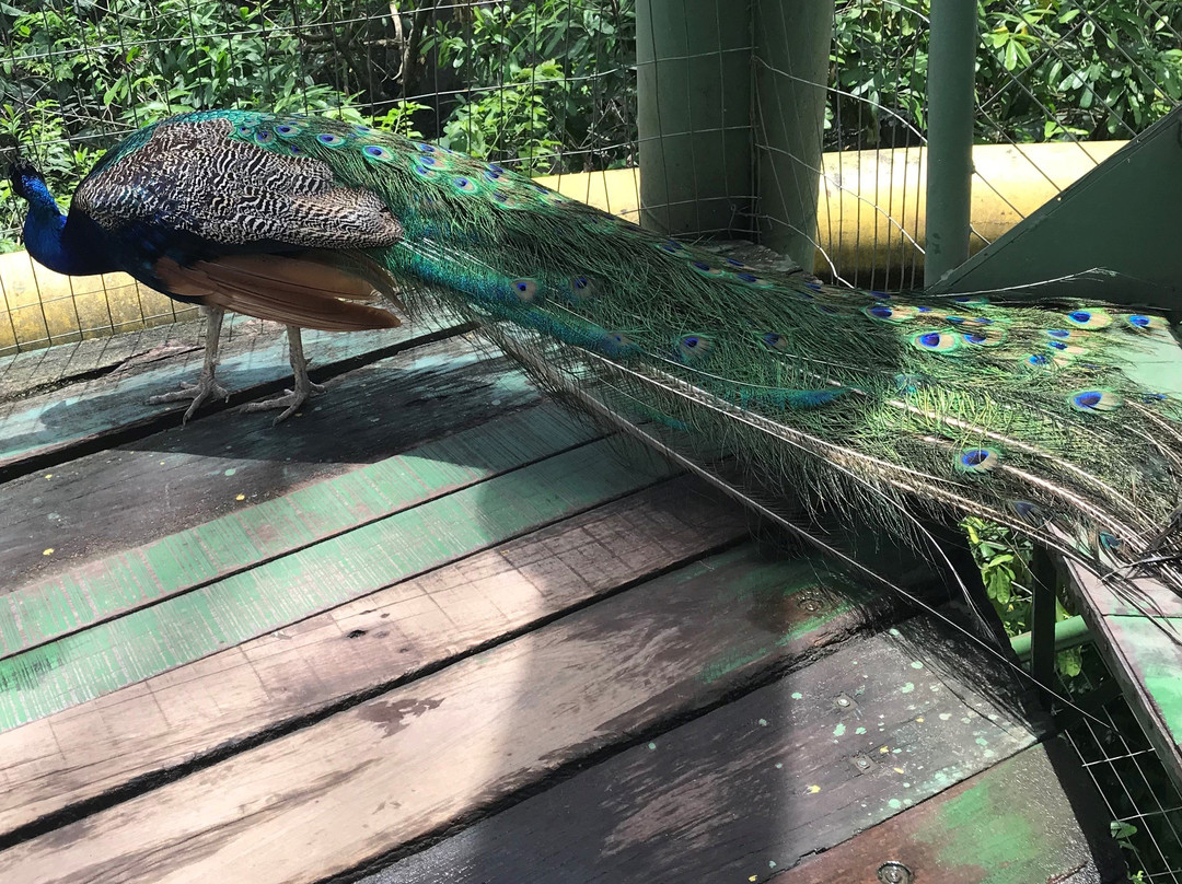 Biocentro Güembé景点图片