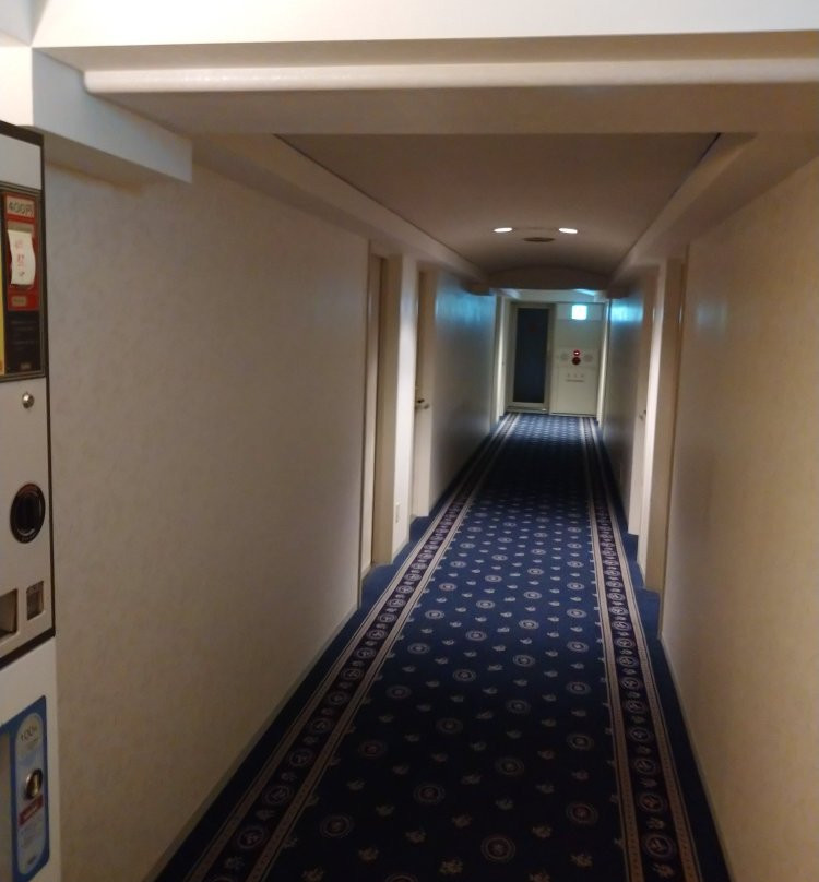 Hotel New Green Tsubamesanjo主图