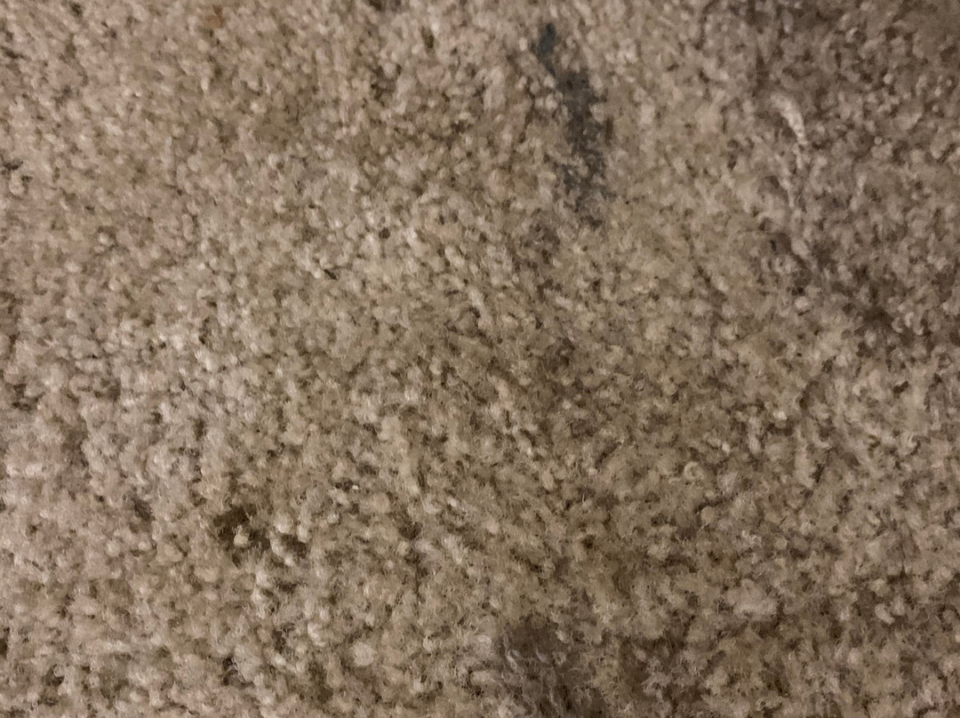 Strawberry Inn River Front Resort主图