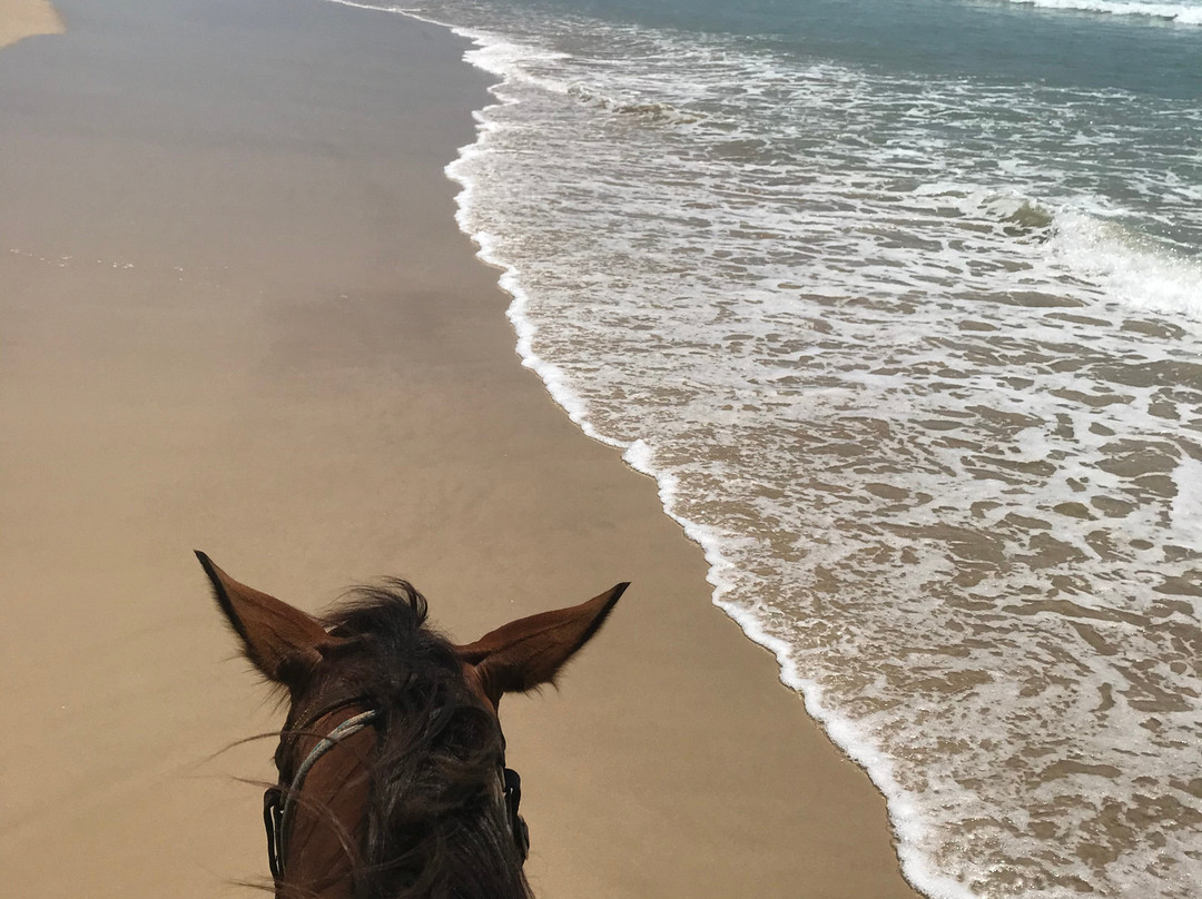 The Ranch Byron Bay景点图片