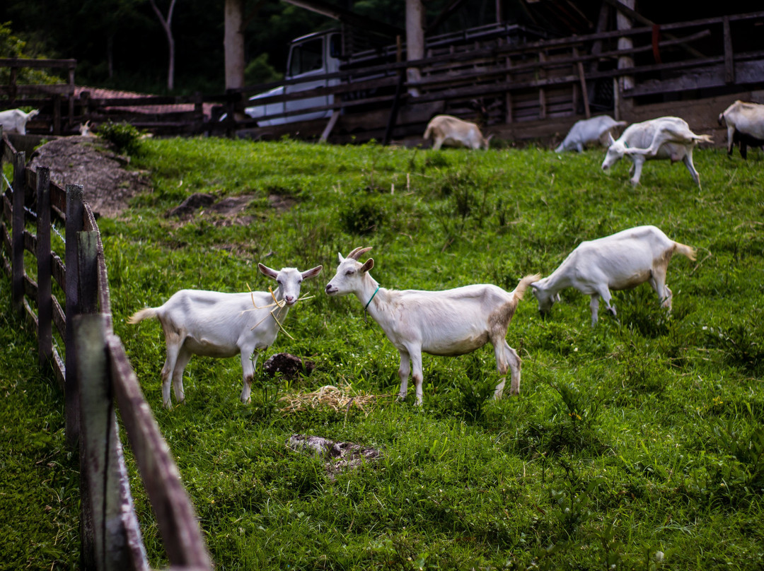 Auberge Suisse主图