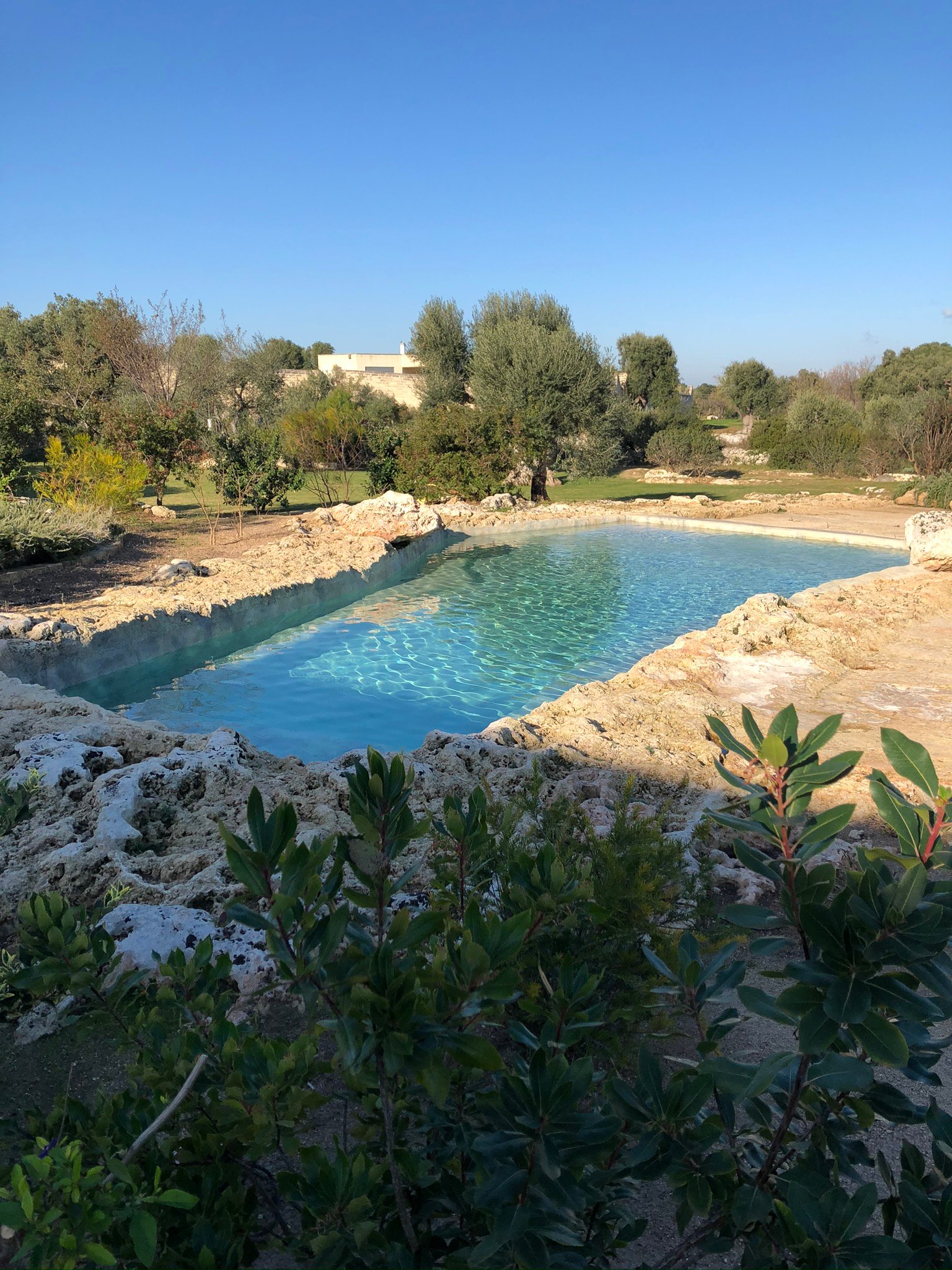 Masseria San Francesco-泳池