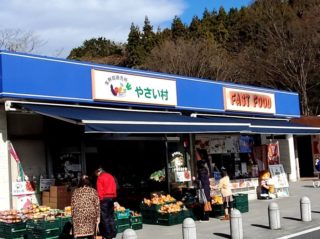 Nakai Parking Area Inbound景点图片