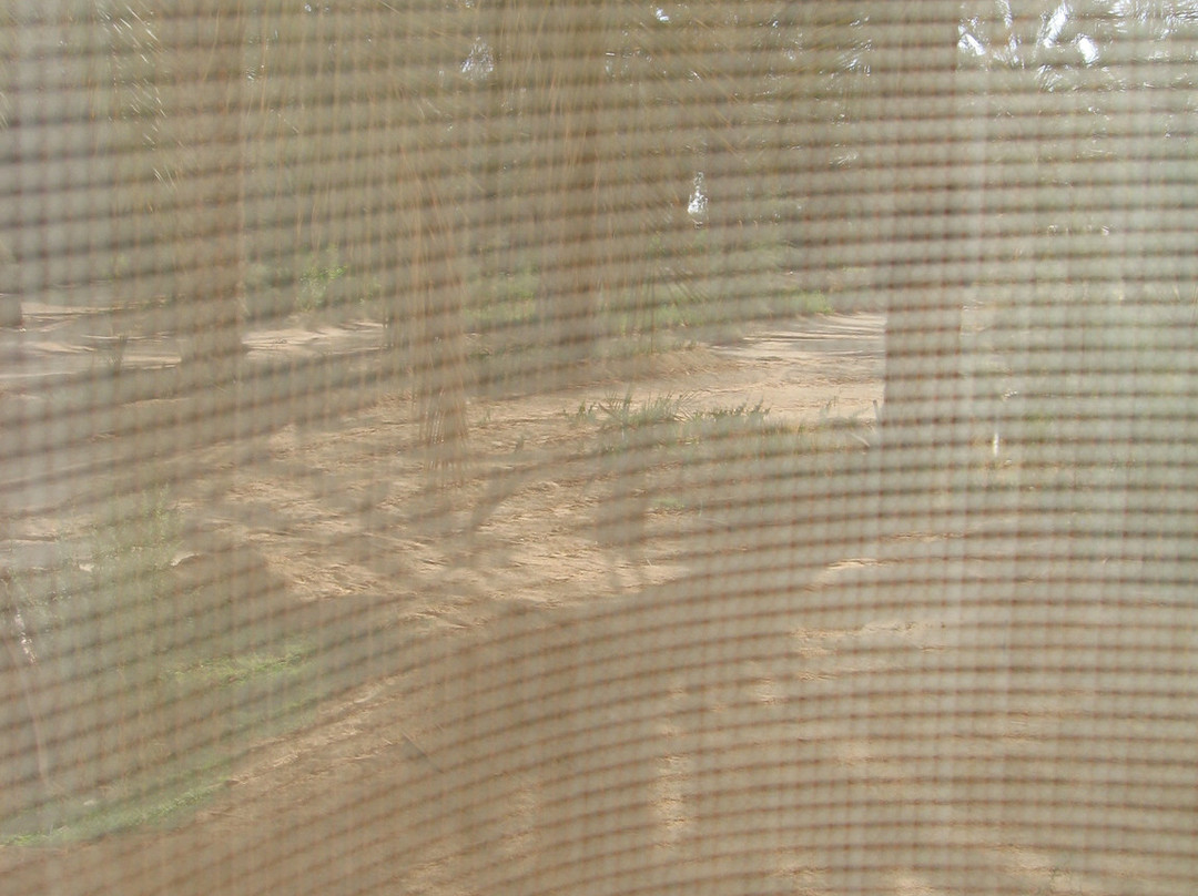 太阳棕榈酒店主图