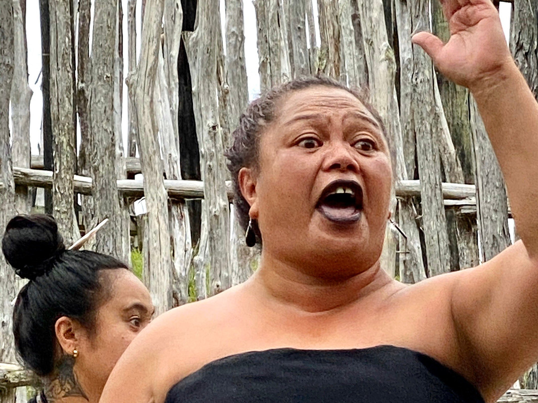 Te Hana Te Ao Marama Maori Cultural Centre-蒂哈纳必去景点