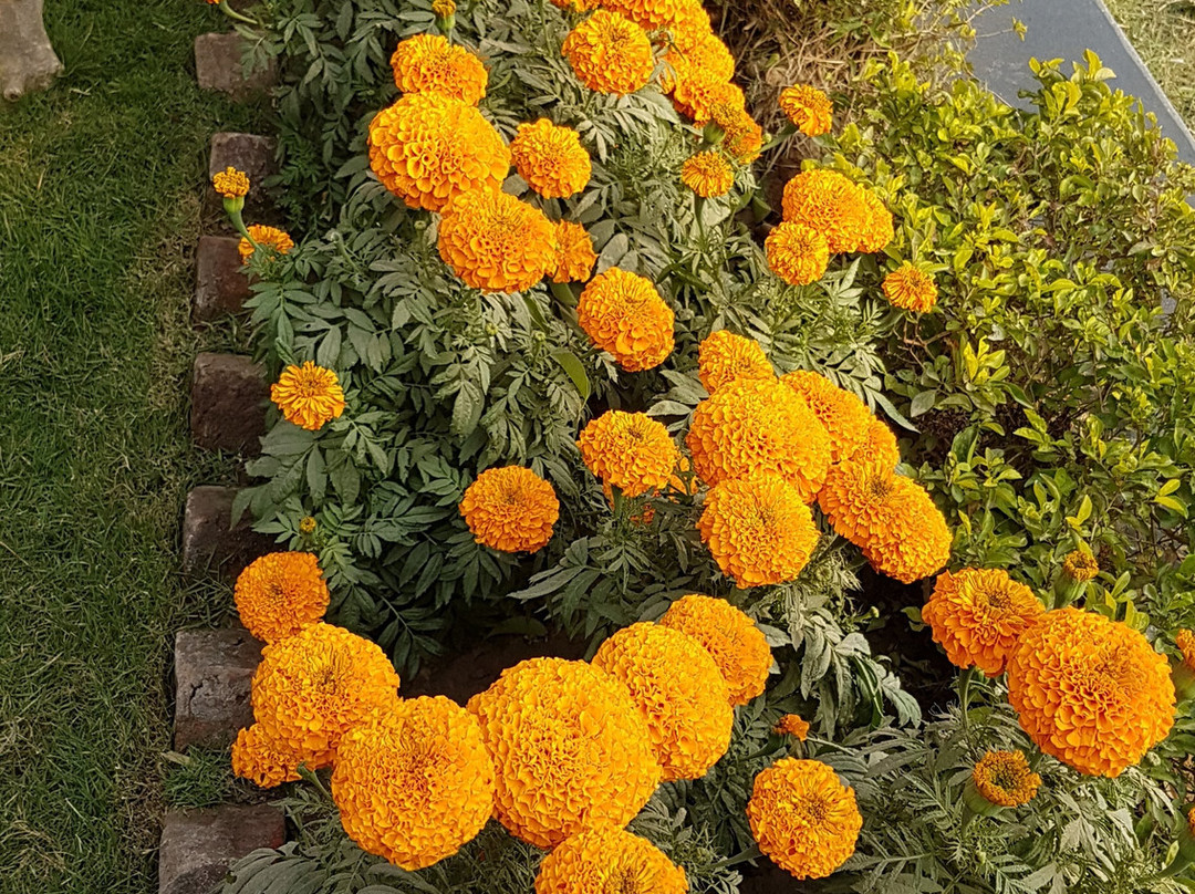 Panthashala Guest House主图