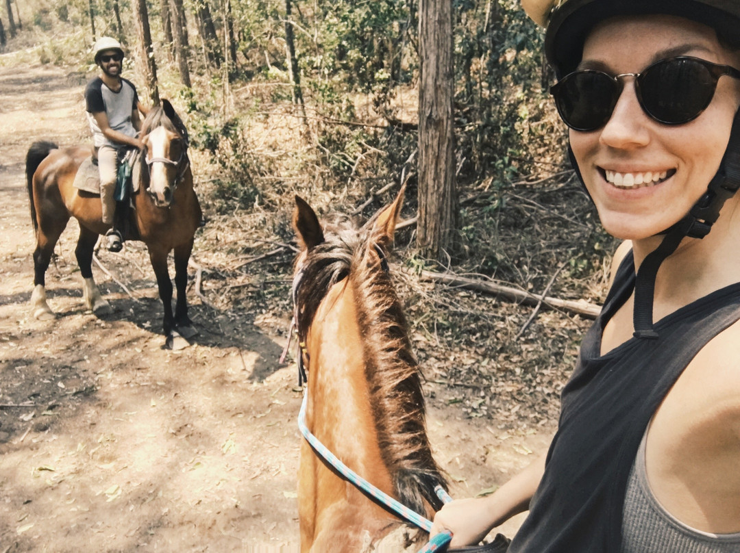 Bellrowan Valley Horse Riding-Beechwood必去景点