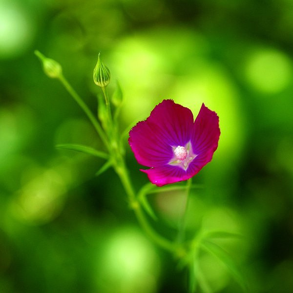 Riverside Nature Center-克尔维尔必去景点