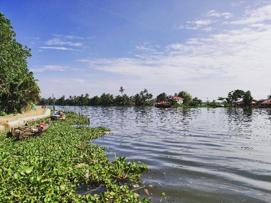 Peaceful Lake Homestay主图