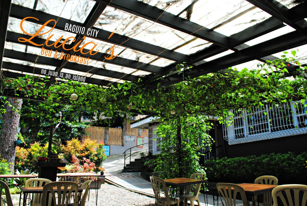 Lucia's Bed and Breakfast-餐饮