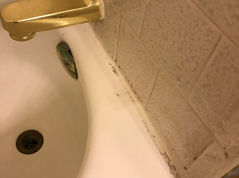 赛德滨海套房 - 欧申赛德酒店主图