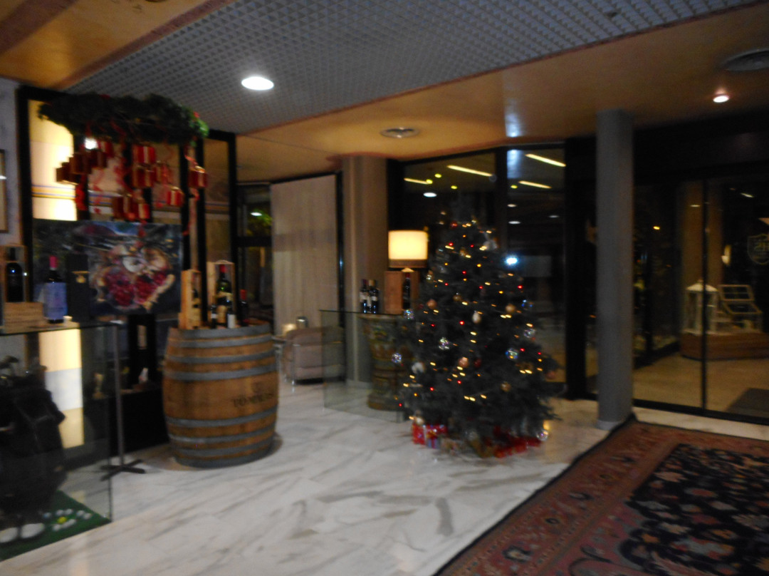 沙卡帝昆德蓝特欧洲酒店主图