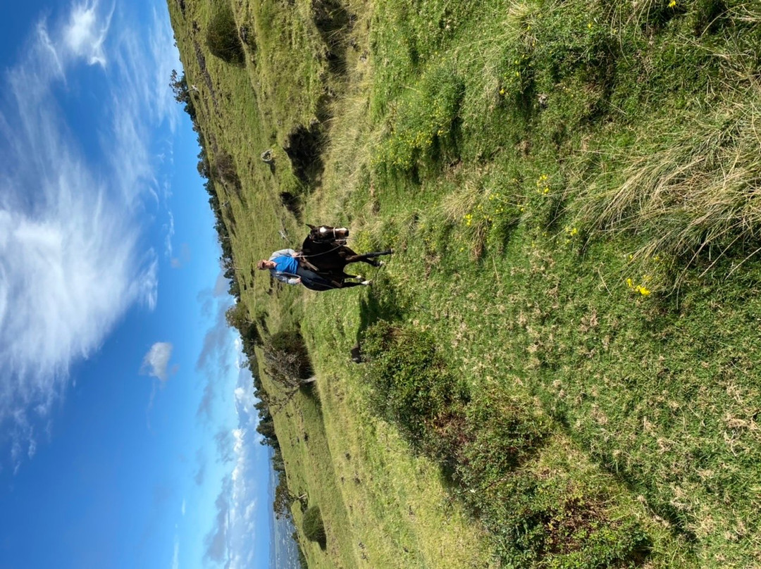 Thompson Ranch Riding Stables-库拉必去景点